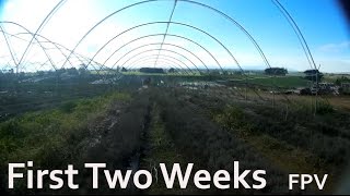 First Two Weeks of FPV - Alien Mini Quad