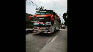 Story wa bus EKA CEPAT NEW SAYANG 2 ||Story wa 30Detik||