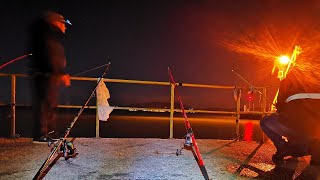 2°Part Prometido é devido, Pesca em Setúbal, Surfcasting,pesca Portugal, fishing live streaming 2020