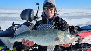 Hunting down Lake Winnipeg Walleyes!!