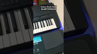 Jual Korg Pa300 & Yamaha SX700