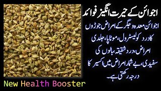 Surprising Health Benefits Of Carom Seedsin Urdu | Hindi  Ajwain Khane Ke Fayde