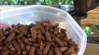 Cajun Boiled Peanuts