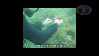 Ao Nang Local Islands abandoned Fishing Net removal