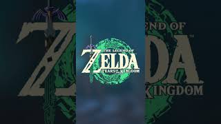 curiodad de los calz0nes de Link #zelda #zeldatearsofthekingdom #zeldabreathofthewild #videojuegos