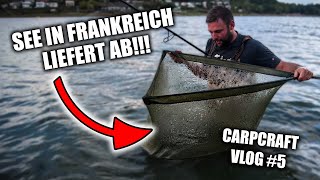 Karpfen eskalieren am Stausee in Frankreich 💥 CARPCRAFT VLOG #5