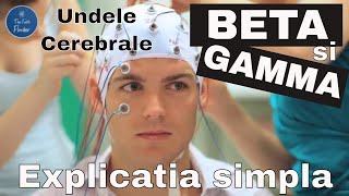 Undele Cerebrale - Beta si Gamma: Explicatia simpla