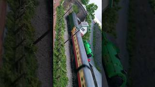 Class 50 Passes J94 #ngauge #modelrailways #shorts