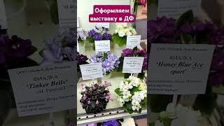 Выставка "Фиалки на Пятницкой" в Доме Фиалки 20-30 сентября 2024