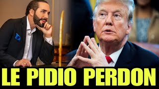 DONALD TRUMPS LE PIDIO PERDON A BUKELE ?