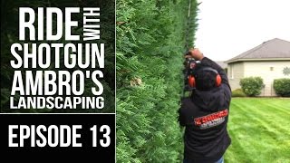 Hedge Trimming the 420' Long Hedge - Day 2 | RSWAL Ep. 13