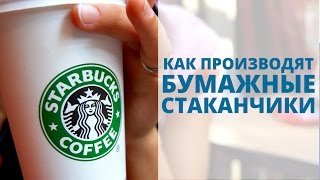 КАК ПРОИЗВОДЯТ БУМАЖНЫЕ СТАКАНЧИКИ | Влог Игорь Граф