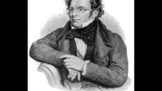 Franz Schubert - Der musensohn