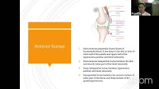 45 Days To MBBS Finals Intensive Revision Series Anatomy Live Class about LOWER LIMB 5 Dr. Divya