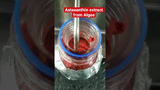 Astaxanthin extract from Algae