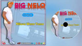 Big Nelo Mufana Wale Ka Bie__Nilava Wena Tsena (Official Audio)