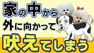 【犬のしつけ】家の中から外へ吠える【悩み相談ライブ切り抜き】