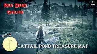 Red Dead Online: Cattail Pond Treasure Hunt