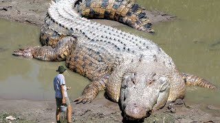 The Biggest Crocodiles Ever Found