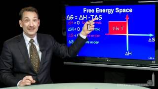 Free Energy Space