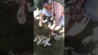 Nepali man selling fresh river fish.