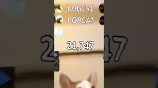 top global popcat