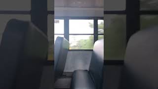 My bus