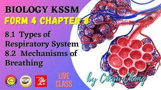 8.1 Types of Respiratory System & 8.2 Mechanisms of Breathing