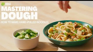 Mastering Dough: Soy-Cumin Chicken & Hand-Pulled Noodles