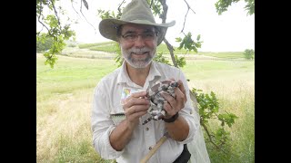 Learn With a Naturalist: Storytelling in Nature May 29, 2020