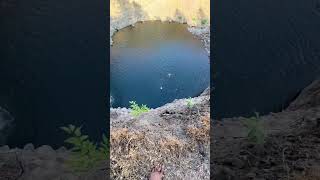 MASSIVE 80 FOOT CLIFF JUMP😳😳