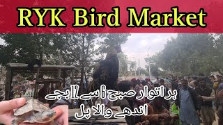 Rahim Yar Khan Pet Market / Birds Sunday Bazaar RYK