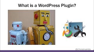 What is a WordPress plugin ?