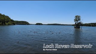 Loch Raven Reservoir Baltimore MD, June 2021 DJI FPV