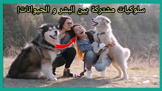 9 سلوكيات يتشاركها البشر والحيوانات 😱