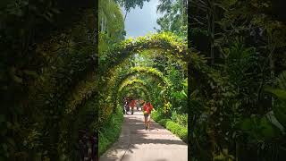 Beautiful inside Singapore National Orchid Garden