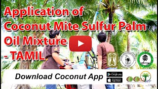 Application of Coconut Mite Sulfur Palm Oil Mixture - TAMIL