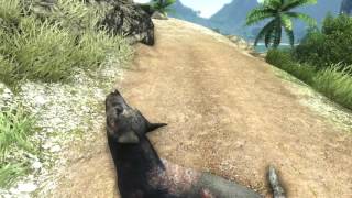 Far cry 3 Gameplay RANDOM