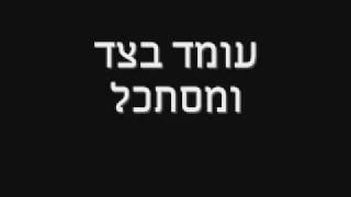 היא לא דומה - לירן דנינו