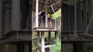 Monkey Business Adventure Escape Penang