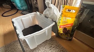 How to Set Up a Cricket Colony for your Inverts & Reptiles