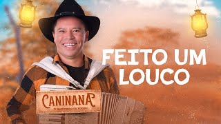 FEITO UM LOUCO - Caninana (DVD Minha Raíz)