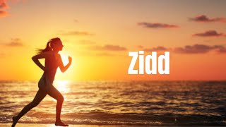 Zidd | Lyrics | Rashmi Rocket | Taapsee Pannu | Nikhita Gandhi  | Amit Trivedi | Kausar Munir |