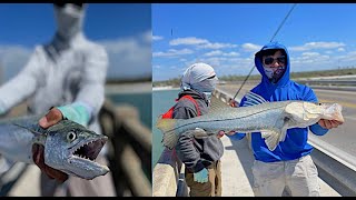 Fort Myers Florida Shore Fishing 2023