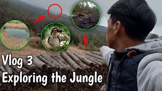 Exploring the Jungle short vlog #deepaknewar08 #vlog