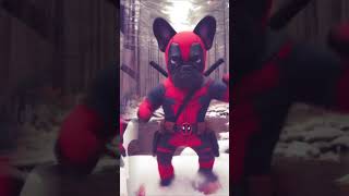 Baby bye bye bye 🐷 #deadpool #deadpoolandwolverine #frenchbulldog #mcu #frenchie #marvel #byebyebye