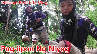 Pag iipon Ng Niyog (Kill-eye Real Life Vlog)