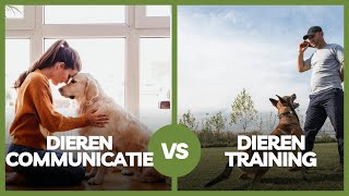 Dierencommunicatie en dierentraining: Het verschil