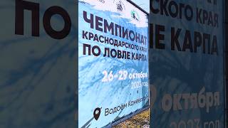 Чемпионат Краснодарского края по ловле карпа. Водоём Каневской. #shorts