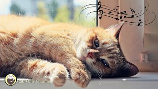 Cat Music to Your Cat Relax and Sleep - Calm Piano Music & Water Sounds